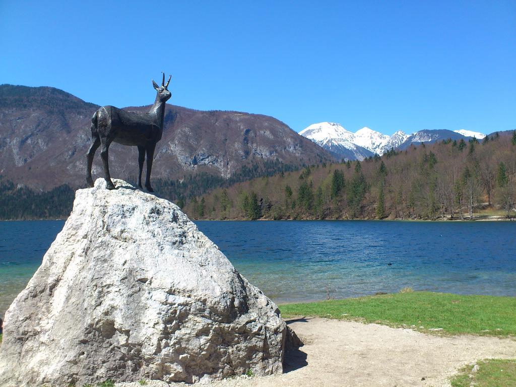 Apartment Bohinjko Bagian luar foto